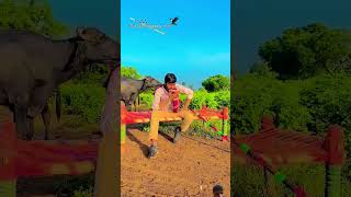 love farmer song duet su vat che bhai ji chhani lat lagi Mane 👌👌👈🤵🤵 [upl. by Demmy]