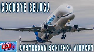 LIVE Awaiting AIRBUS BELUGA DEPARTURE from Amsterdam Schiphol Airport [upl. by Gut]