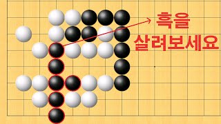 바둑 맥점 사활  기가막힌 묘수로 흑을 살려보세요 [upl. by Nayve]