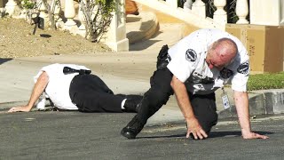 Angry Bee Swarm Attacks Volunteer Police Officer on Live TV [upl. by Azenav]