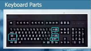 Learn THE KEYBOARD Techniques  Basic Personal Computer Tutorials How to [upl. by Ellingston]