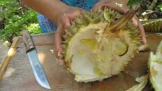 How to Open a Durian [upl. by Sybila]