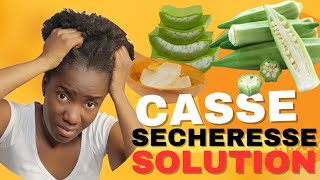 Les secrets pour un bon soin hydratant capillaire cheveux crépus secs et cassants [upl. by Sammy]