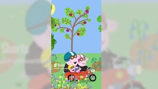 🐽 Peppa Pig 🐷 4 hour video  NonStop Cartoons  Streamed Mar 03 2024 [upl. by Coretta]