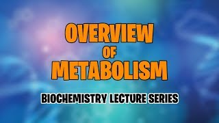 OVERVIEW OF METABOLISM  BIOCHEMISTRY  MEDVIDSMADESIMPLE [upl. by Wiltshire]