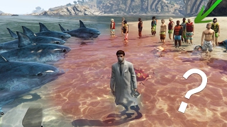 ¿Pueden OLER LA SANGRE los Tiburones de GTA V  Tiburones Vs Personas Vs Tren [upl. by Pammy215]