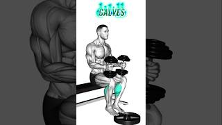 BEST CALVES EXERCISES🔥💯GET MASSIVE CALVESS  CALVES WORKOUT [upl. by Aihsekan]