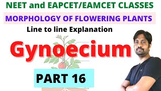 Gynoecium  Morphology of Flowering Plants Chapter Line to line Explanation  PART 16 [upl. by Rothschild]