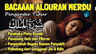 Al Quran Pengantar Tidur Merdu Surah Al Mulk Penenang Hati Jiwa dan Pikiran Mudahkan Tidur Insomnia [upl. by Jarl]