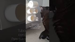 ¡El único juguete imantado para gatos Tu gato ejercitará su mente y se divertirá 😺 [upl. by Nomannic]