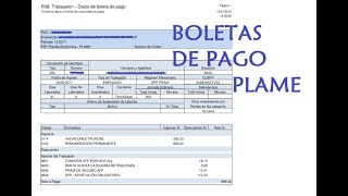 Como imprimir las boletas de pago del PLAME 2023  SUNAT [upl. by Recneps]