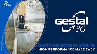 Understanding GESTAL 3G Feeding System for Optimal Sow Welfare [upl. by Laban933]