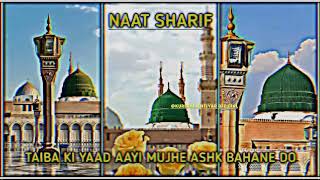 Taiba Ki Yaad Aayi Mujhe Ashk Bahane Do ☺️💚  Naat Sharif  New Kalam  😊❤️ [upl. by Antsirhc]