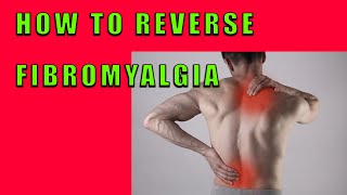 How to Reverse Fibromyalgia [upl. by Asiel]