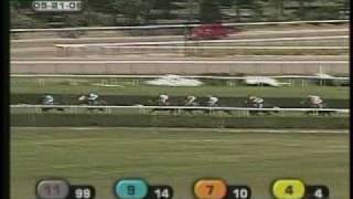 Reeleys Really Big Win on the Belmont Turf 5 21 09 [upl. by Odnamra]