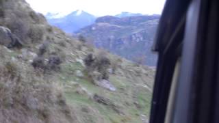 Mustering of deer roundup in New Zealand [upl. by Ellersick]