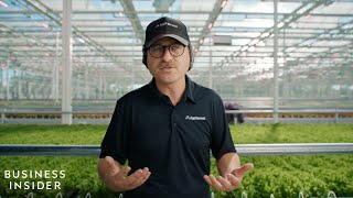 One Of The World’s Largest Indoor Farms Is Using Advanced Tech To Build A More Resilient Food System [upl. by Foscalina352]