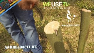 Innesto a triangolo su castagno selvatico parte 4 di 5  Tecniche di innesto su alberi da frutto [upl. by Notsreik]