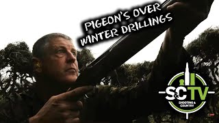 SampC TV  Pigeon Shooting with Andy Crow 11  A tough day in the pigeon hide [upl. by Kaja652]