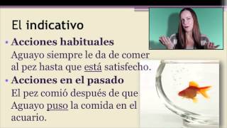 Class Videos with Dra B El subjuntivo en cláusulas adverbiales II CAMEL AND HATS [upl. by Samid]