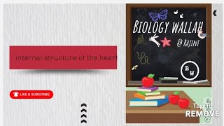 internal structure of the heartbiologywallah  rajini [upl. by Aronek]