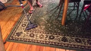 Dyson cinetic science animal canister big mess test pt2 [upl. by Merritt781]