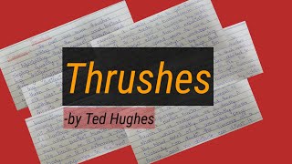 Thrushes by Ted Hughes Summary in urduhindi  englishstudynotes4515 [upl. by Swigart]