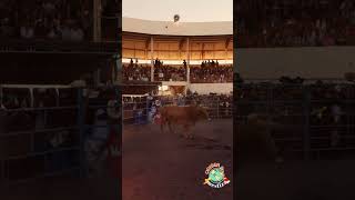 JARIPEO EN LOS ALTOS DE JALISCO shorts jalisco charros jaripeo [upl. by Anomar856]