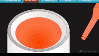 Cryotop Oocyte Vitrification Animation [upl. by Rubi]