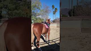 Olani and Rachel train stepping over poles [upl. by Tillinger]