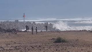 maui big surf kahului harbor March 2021 [upl. by Anelah]