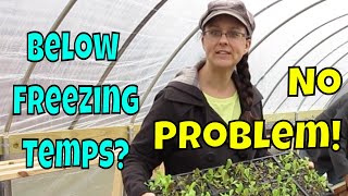 Unheated Greenhouse Troubles Our Solution [upl. by Artinahs973]