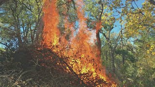 Cleaning the Land with Fire Burn Pile [upl. by Acinoda]