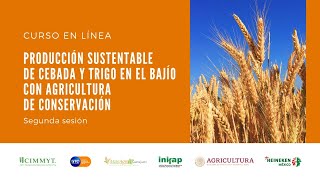 Producción sustentable de cebada y trigo en El Bajío con Agricultura de Conservación [upl. by Paxton103]