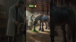 Baby cemal horse treatment shorts trending reels subscribe raza muslim islamic treatment [upl. by Natsirk]