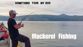 Newfoundland Mackerel Fishing [upl. by Evonne637]