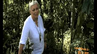 Tendacayou Ecolodge amp SPA  Emission quotLeur monde a ellesquot [upl. by Ahsar]