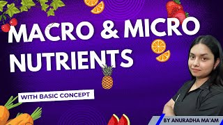 MACRO NUTRIENTS amp MICRO NUTRIENTS  Basic concept  by ThePrepZone nutrients NCERT biology [upl. by Darsie628]