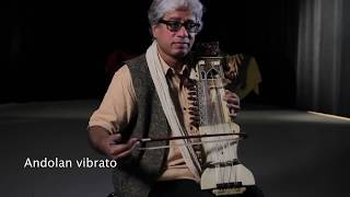 Dhruba Ghosh demonstrates the sarangi [upl. by Ogawa]