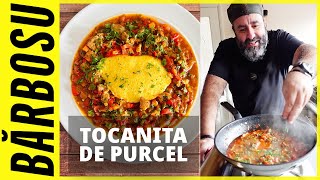 TOCANITA DE PURCEL [upl. by Yenohtna]