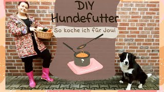 quotDIYquot Hundefutter selber kochen [upl. by Salvatore]