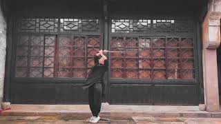 Chinese twohanded sword basic moves collection collection形意拳 双手剑 方寸剑kungfu [upl. by Adnovaj]