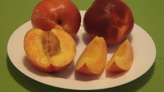 Nectarine Fruit How to Eat a Nectarine [upl. by Rehpotsyrhc166]