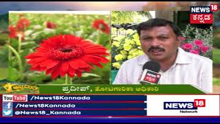 ಅನ್ನದಾತ  How To Make Profit With Floriculture Using Government Financial Assistance  Feb 3 2019 [upl. by Hemingway448]