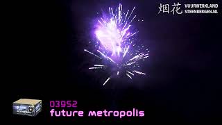 Future Metropolis vuurwerk  Vuurwerklandbestelnl [upl. by Anayaran]