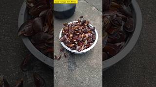 Mussel shell cleaning  supersamayalwithannies food shortsmusselshellcleaningseafood [upl. by Engen460]