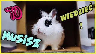 ‼️ Musisz to wiedzieć zanim zdecydujesz się na królika ‼️🐰 [upl. by Cybill]