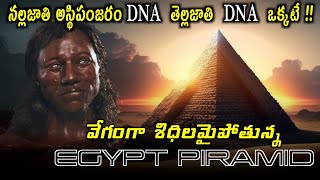 Amazing History Facts  Unknown Facts inTelugu facts history telugu egypt piramide dna [upl. by Alimhaj15]