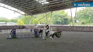 60 cm jump course [upl. by Thomasine]