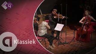 Dvořák Piano Quintet No 2 in A major Op 81  Harriet Krijgh amp Friends  Live concert HD [upl. by Artemisa]